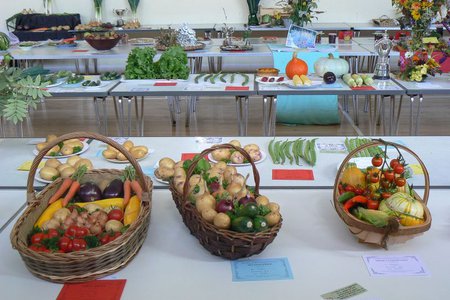 07G P1080505.JPG