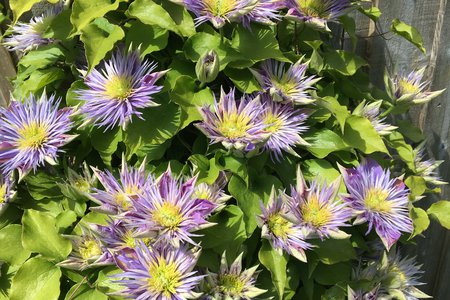 IMG_1598.jpeg