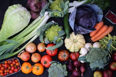 Vegetables.jpg